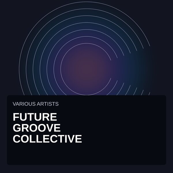Mike Vale, Simon Emme, Sara JD, Fes Bondat, BarNeki, Jamz, Philip Kolak, Simon Jayson, Paolo Barbato, Mitch Gilby, FunkFuse — Future Groove Collective